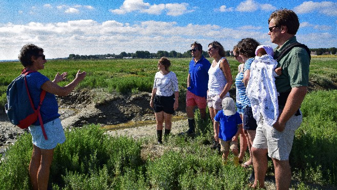 Visite guidée gustative en Baie de Canche