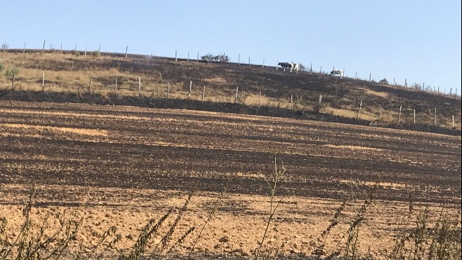 Fin de la canicule, l'alerte rouge est levée
