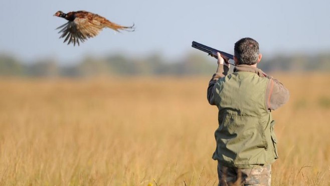 Pas-de-Calais : ouverture de la chasse le 15 septembre prochain