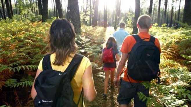 Découvrez la forêt du Touquet !