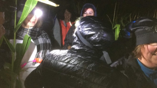 A Wissant vendredi soir, 200 personnes se sont perdues dans les