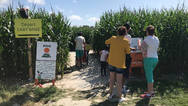 Attention à ne pas vous perdre au labyrinthe de maïs de Laby Parc, à Saint-Josse !