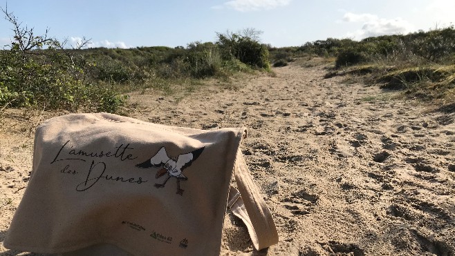 Promenade au sentier du Cochevis et découverte de sa faune et sa flore