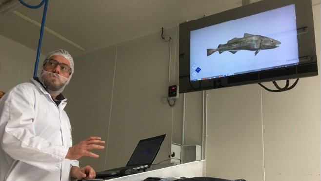 Fileteur, un métier d’avenir car les consommateurs préfèrent le poisson prêt à consommer !