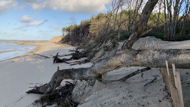 Erosion: les dunes ont encore reculé en Baie d'Authie