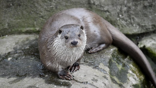 Le zoo de Fort-Mardyck propose 3 week-ends à 1,5€ du 19 octobre au 3 novembre