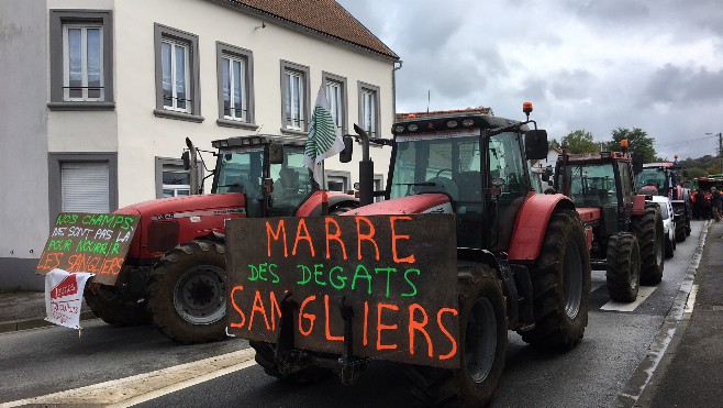 Grosse mobilisation des agriculteurs à Desvres. La D341 est totalement bloquée. 