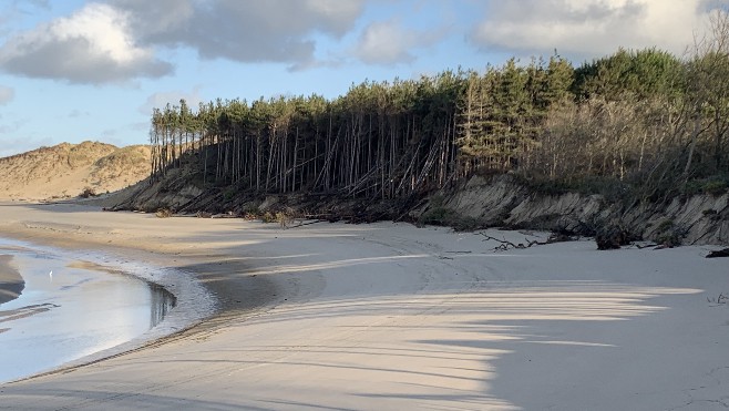 Baie d'Authie: 350.000m3 de sable vont être rechargés au Bois de Sapin