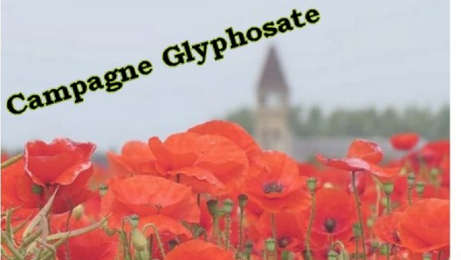 A Dunkerque, on recherche des pisseurs volontaires !