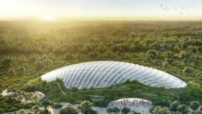 Tropicalia : alors que le permis de construire vient d'être accepté, un collectif d'écologistes demande l'abandon du projet
