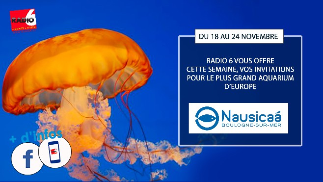 Radio 6 vous invite en famille au plus grand aquarium d'Europe, gagnez vos entrées pour Nausicaa
