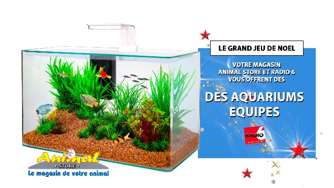 GRAND JEU DE NOEL - Gagnez un aquarium avec Animal Store 