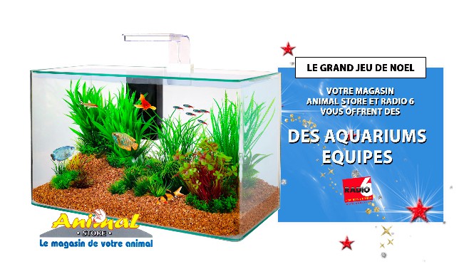 GRAND JEU DE NOEL - Gagnez un aquarium avec Animal Store