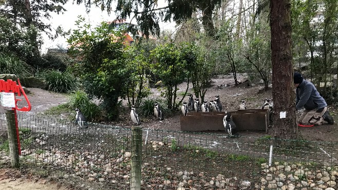 Zoom sur le Zoo d'Amiens