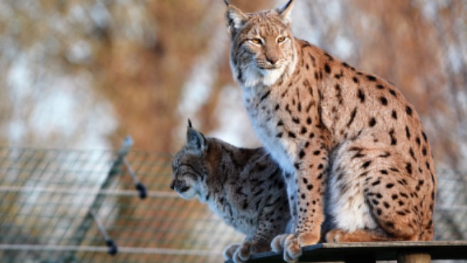 Le parc zoologique de Fort-Mardyck rouvre ses portes ce week end.