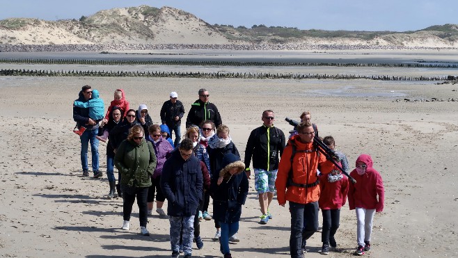 Berck : quels ateliers choisir avec