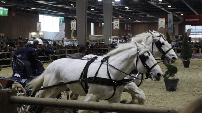 Salon de l'Agriculture: Amandine Debove, décroche la 3ème place du trophée par paire avec les chevaux boulonnais