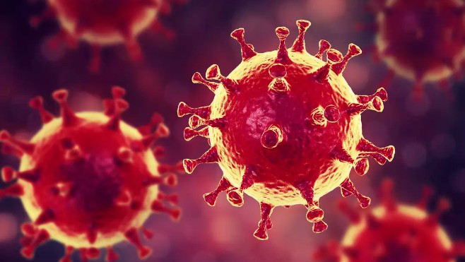 Coronavirus dans la Somme : 11 cas confirmés. 2 décès à déplorer