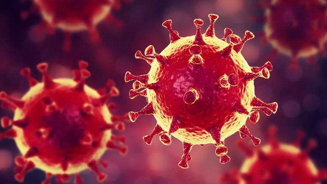 Coronavirus dans la Somme : 11 cas confirmés. 2 décès à déplorer