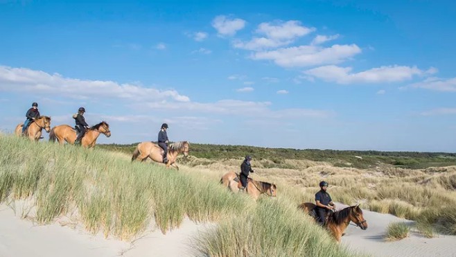 Le Figaro propose à ses lecteurs une promenade équestre en bivouac au Parc du Marquenterre