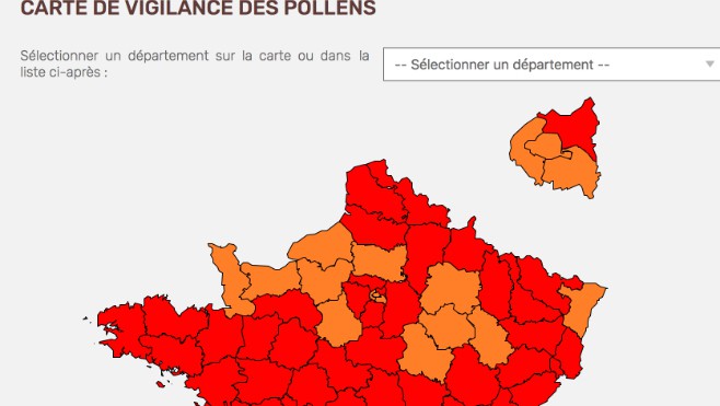 Alerte rouge aux pollens dans les Hauts de France.