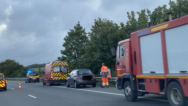 A16 : une automobiliste percute un chevreuil à hauteur de Saint-Inglevert