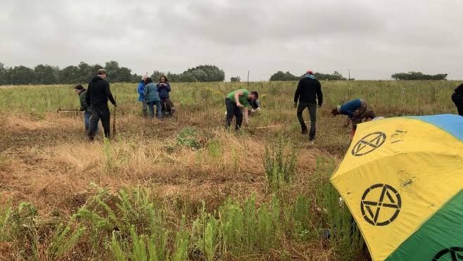 Action symbolique des écologistes ce mardi soir sur le futur emplacement de Tropicalia