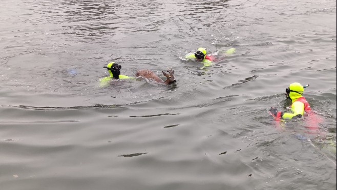 Nord : un jeune chevreuil sauvé des eaux par les pompiers