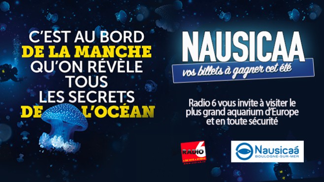 Cet été, visitez le plus grand aquarium d'Europe. Radio 6 vous invite à Nausicaa.
