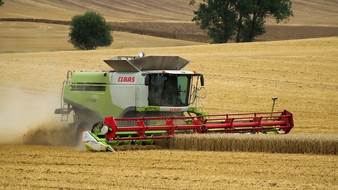 Littoral : après de fortes pluies à l'automne puis un printemps sec, la moisson s'annonce 