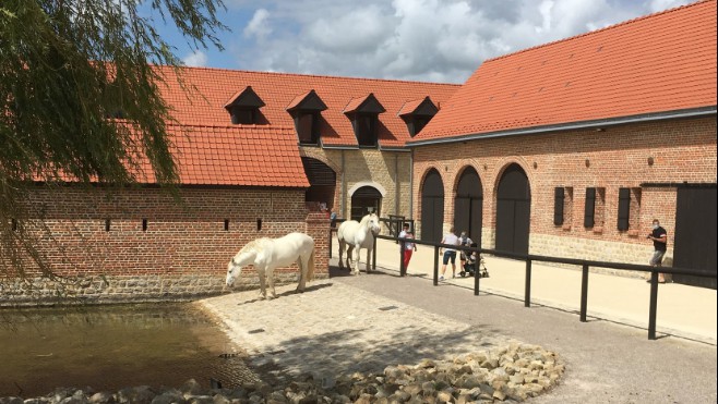 A Samer, la maison du cheval boulonnais entraîne les visiteurs !