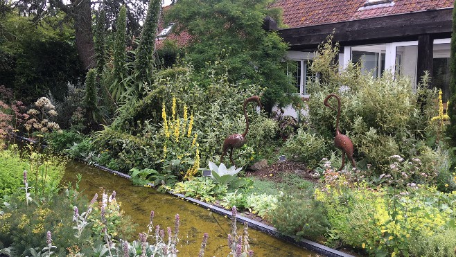 Promenade enchantée dans le Jardin botanique du Beau Pays à Marck-en-Calaisis