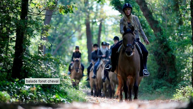 Découvrez le Touquet autrement grâce aux balades à cheval