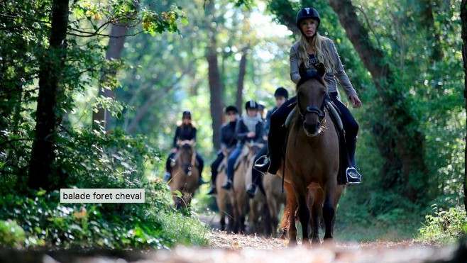 Découvrez le Touquet autrement grâce aux balades à cheval 