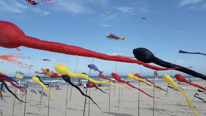 Grand Fort Philippe: un festival de cerfs-volants a lieu ce dimanche