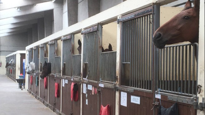 Portes ouvertes dimanche à l’Ecole d’Equitation du Boulonnais.