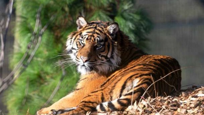 Journées du Patrimoine : l'entrée au Zoo d’Amiens à 1 euro tout le week end ! 