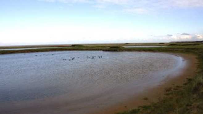 Ouverture de la chasse ce dimanche dans le Pas-de-Calais, le Nord et la Somme