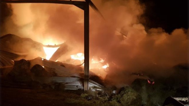 Rimboval : 9 bovins périssent dans l'incendie de deux hangars agricoles