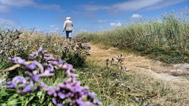 Fort-Mahon: participer à une parenthèse « green attitude » ce dimanche