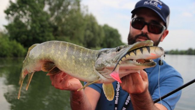 Dimanche, un concours de pêche sciences participatives est organisé à Samara.