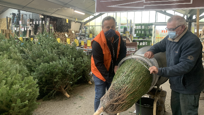 Les sapins naturels se vendent toujours aussi bien malgré le confinement