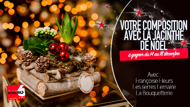 JEU SMS - Gagnez votre composition florale comprenant LA JACINTHE de Noël avec nos partenaires