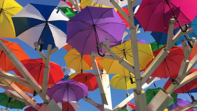 A Dunkerque, faute de Carnaval, les ventes de costumes et accessoires chutent !