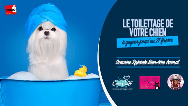 [Semaine spéciale BIEN-ÊTRE ANIMAL] - Jeu WEB et ANTENNE - Gagnez le toilettage de votre animal de compagnie