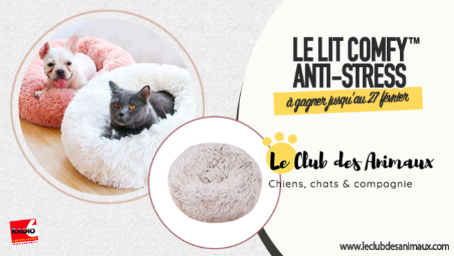 [Semaine spéciale BIEN-ÊTRE ANIMAL] - Jeu Antenne + Jeu Web - Gagnez le lit COMFY™ Anti-Stress avec leclubdesanimaux.com