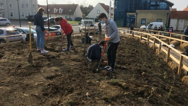 Le premier « îlot de fraîcheur » planté à Saint-Martin-Boulogne.
