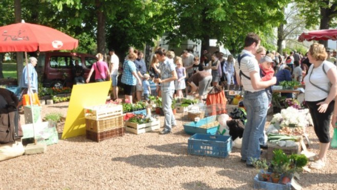 Les commerçants non essentiels peuvent exposer sur le marché d’Audruicq