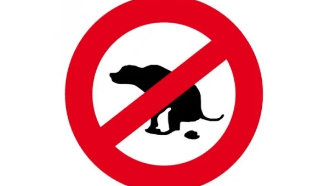 Le Touquet part en guerre contre les déjections canines !