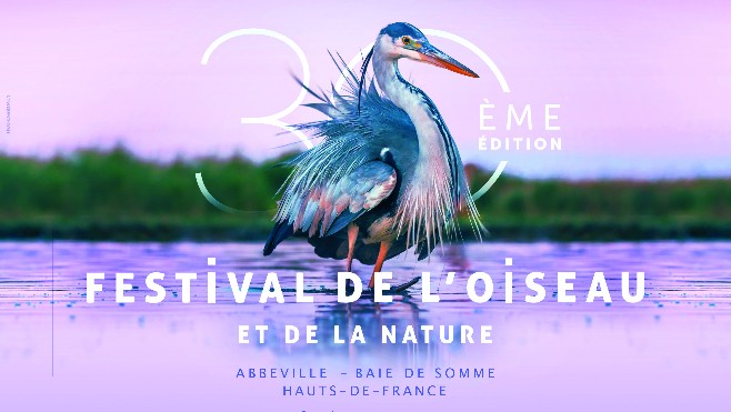 Somme: Le Festival de l'Oiseau et de la Nature débute ce week-end en version numérique